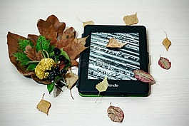 kindle,胡椒白,阅读