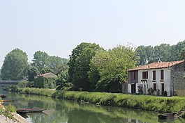 法国,沼泽,但