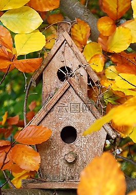 鸟舍,首页,鸟进纸器