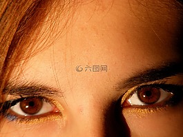 棕色,棕色的眼睛,虹膜