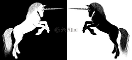 独角兽,马,马匹