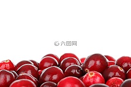 浆果,蔓越莓,饮食