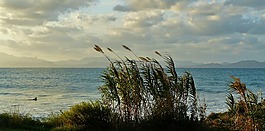 海岸,海,岩质海岸