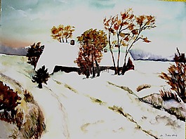 农场,霍夫,树木