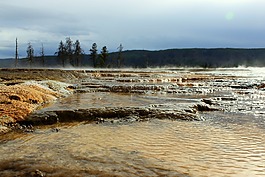 国家公园,水,森林