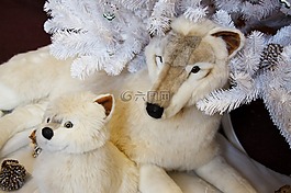 可爱的,动物,北极