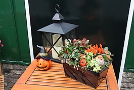 南瓜,万圣节,装饰