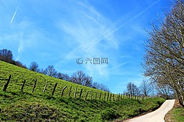 普拉多,绿色,景观