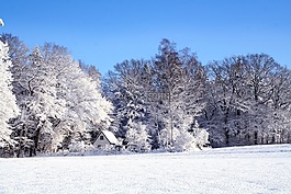 冬天,景观,雪