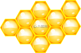 蜜蜂,蜂巢,配置单元