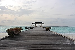 网站,海,木板路