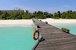 网站,海,木板路