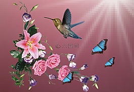 beija 弗洛尔,蜂鸟,鸟