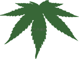大麻,草本植物,医疗