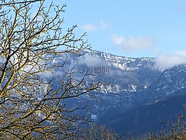 景观,查看韦科尔,树