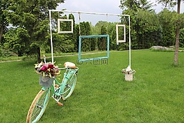 除草,装潢,自然