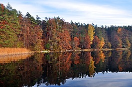 湿湖,十一月,秋