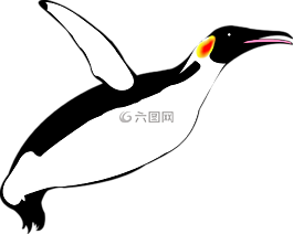 飞行企鹅,企鹅