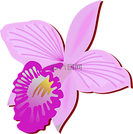 剪贴画,弗洛尔,植物区系