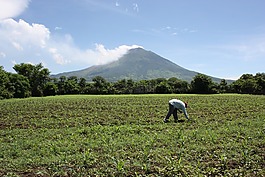 火山chaparrastique,圣米格尔,萨尔瓦多