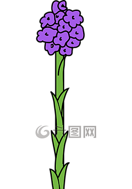 设计,花的,花