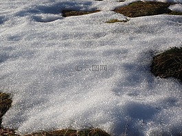 草地,雪,积雪融化