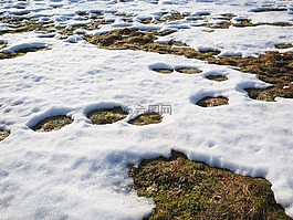 草地,雪,积雪融化