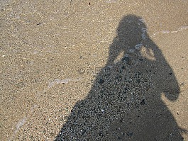 self,砂,夏季