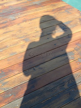 self,议会,阴影