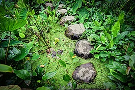 步进,石头,水