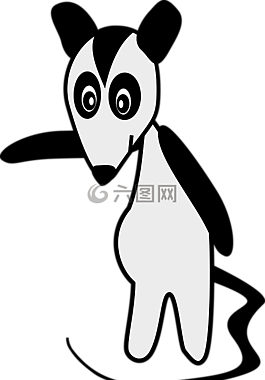 possum,臭鼬,动物