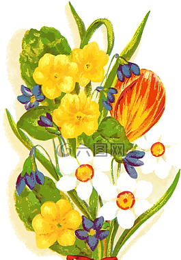 花束,束,花的