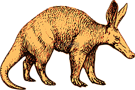 aardvark,非洲,动物