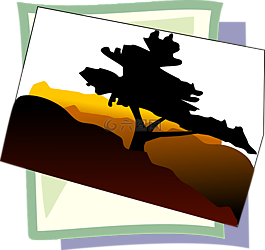 沙漠英雄树图片 沙漠英雄树素材 沙漠英雄树模板免费下载 六图网