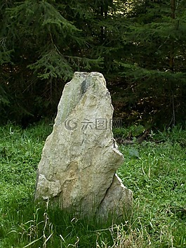 具有里程碑意义,限额,成熟的国家森林