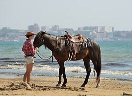 海滩,马,漫步