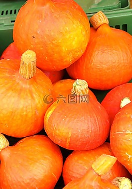 南瓜,秋季,helloween