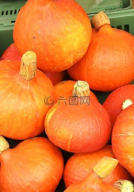 南瓜,秋季,helloween