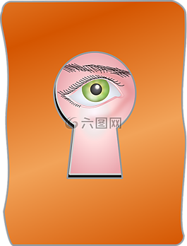 聚醚醚酮,手表,眼