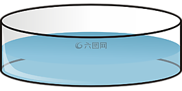 petri,皮特里,菜
