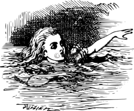 爱丽丝,仙境,黑