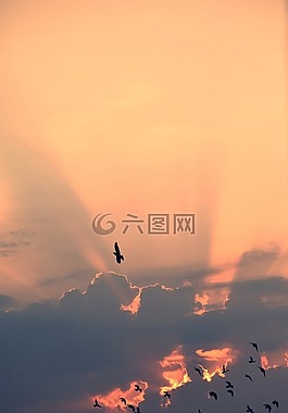 云,阳光,天空