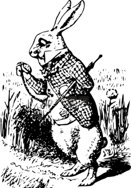 爱丽丝,仙境,幻想