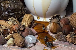 静物,水果,坚果