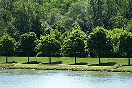 多瑙河,奥地利,长江游轮