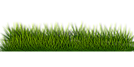 草的背景图片 草的背景素材 草的背景模板免费下载 六图网