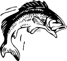 鱼,低音,诱惑