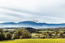 上午,美丽的风景,自然之美