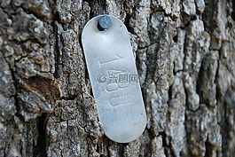 树识别标签,识别标签,树标签