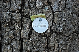 树识别标签,识别标签,树标签